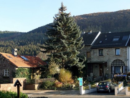 Foto: Burg-Molbach